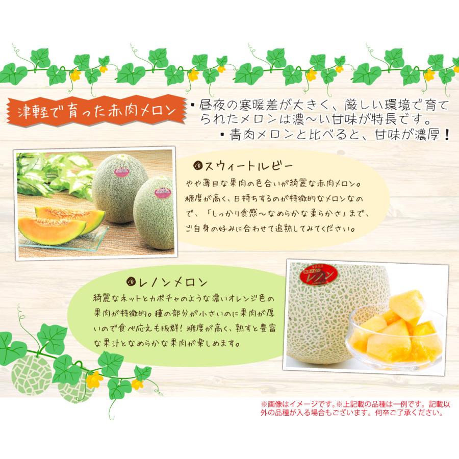 メロン 青森産 つがる赤肉メロン 約5kg 3 6玉 赤肉 送料無料 ご家庭用 数量限定 国華園 F392 花と緑 国華園 通販 Yahoo ショッピング
