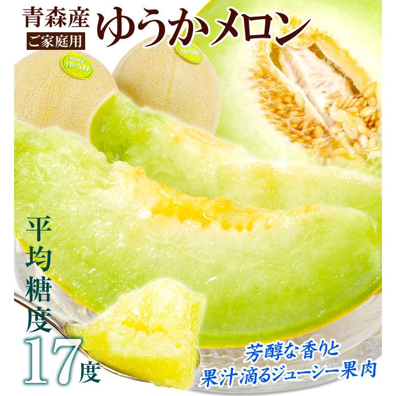 メロン ゆうかメロン 約5kg 青森産 青肉メロン 甘い フルーツ 果物