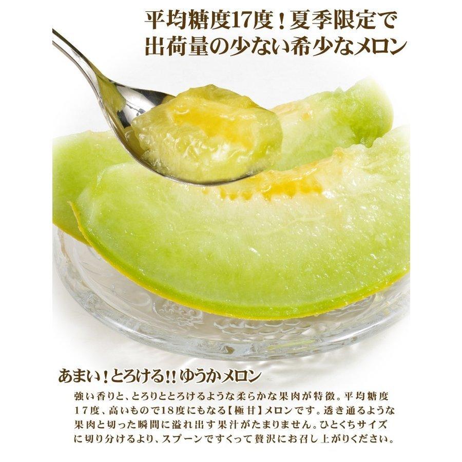 メロン ゆうかメロン 約8kg 青森産 青肉メロン 甘い フルーツ 果物