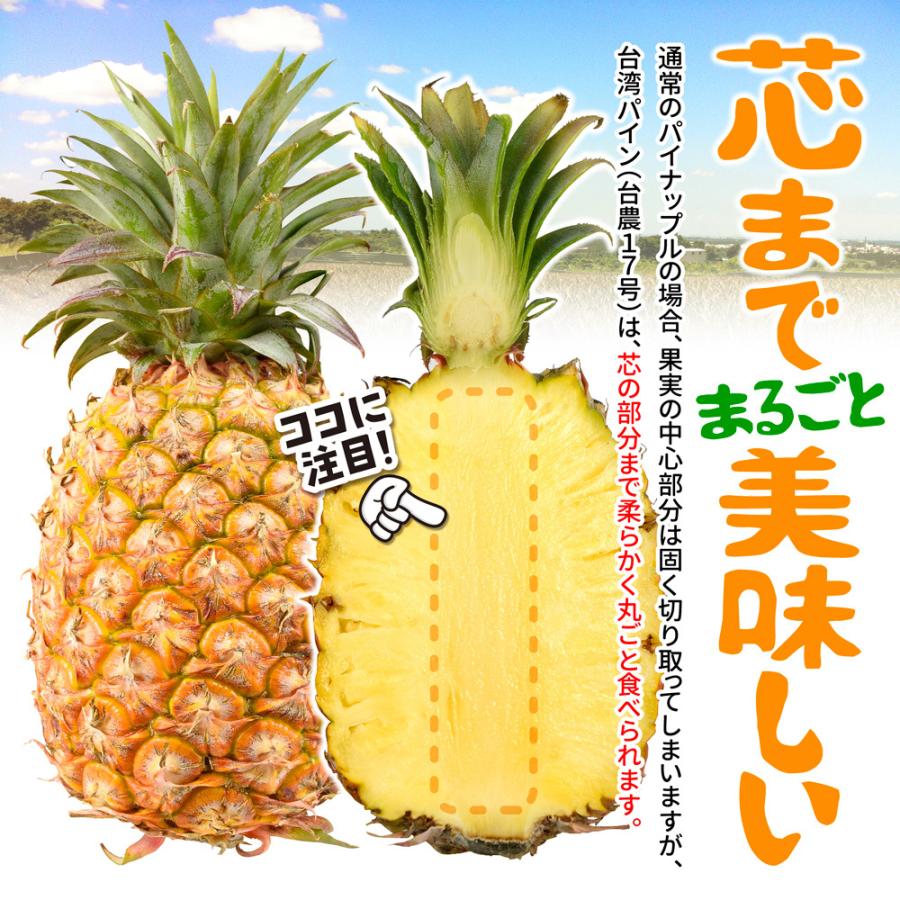 限定入荷 台湾パイン 約10kg 台湾産 パイナップル 6 9玉 送料無料 パイン 台農17号 金鑚 金鑚鳳梨 きんさん 国華園 7月上旬 発送 F427 花と緑 国華園 通販 Yahoo ショッピング
