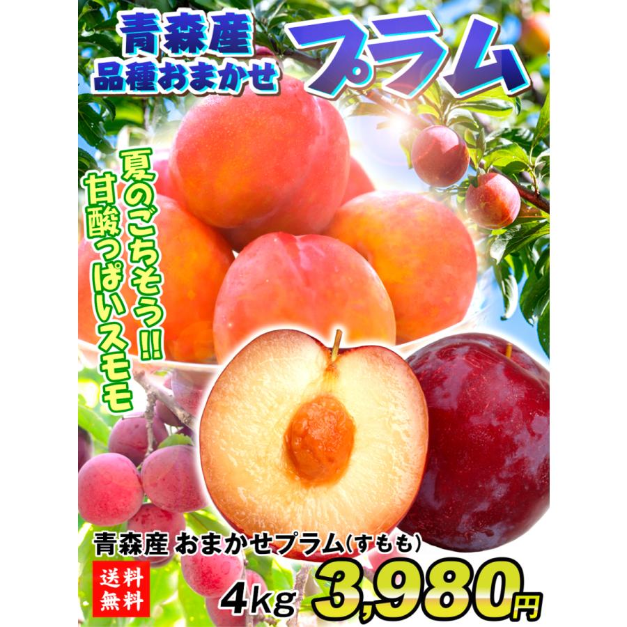 プラム 青森産 ご家庭用 プラム 4kg 送料無料 スモモ 冷蔵 F508 花と緑 国華園 通販 Yahoo ショッピング