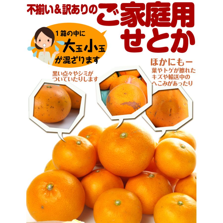 みかん せとか 5kg 和歌山産 紀南のせとか 送料無料 ご家庭用 柑橘 フルーツ 国華園 F046 花と緑 国華園 通販 Yahoo ショッピング