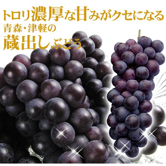 ぶどう 2kg スチューベン 青森産 蜂蜜ぶどう 津軽 冷温貯蔵 中粒 送料無料 食品