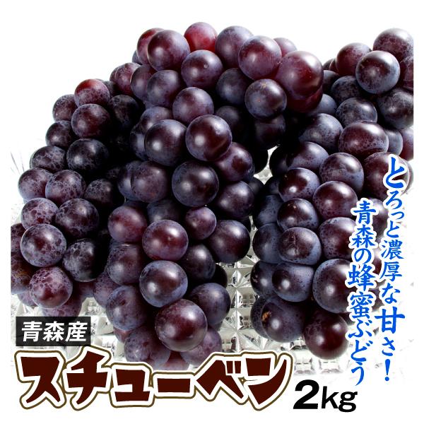ぶどう 2kg スチューベン 青森産 蜂蜜ぶどう 津軽 冷温貯蔵 中粒 送料無料 食品