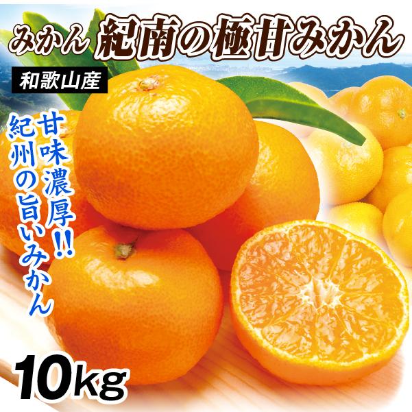 みかん 10kg 紀南の極甘みかん 和歌山産 ご家庭用 温州 ミカン 送料