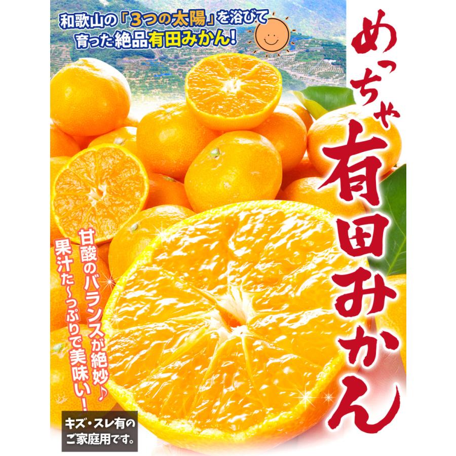 みかん 10kg 和歌山産 紀南の極甘みかん 大玉 ご家庭用 2L~4L 果物 蜜柑 フルーツ 国華園 食品 みかん 10kg 和歌山産 紀南の極甘みかん 大玉 ご家庭用 2L~4L 果物 蜜柑 フルーツ 国華園 食品