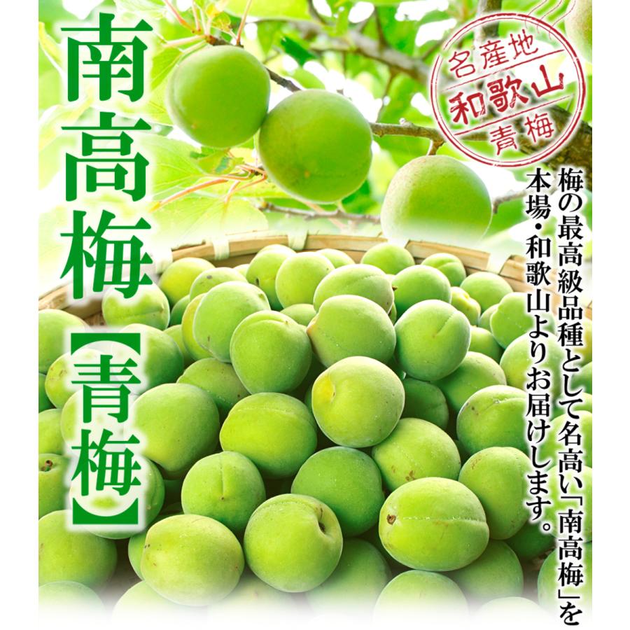 青梅 10キロ 無農薬 箱込み