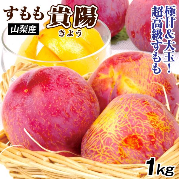 すもも 1kg 貴陽 山梨産 きよう 送料無料 食品 : 花と緑 国華園 - 通販