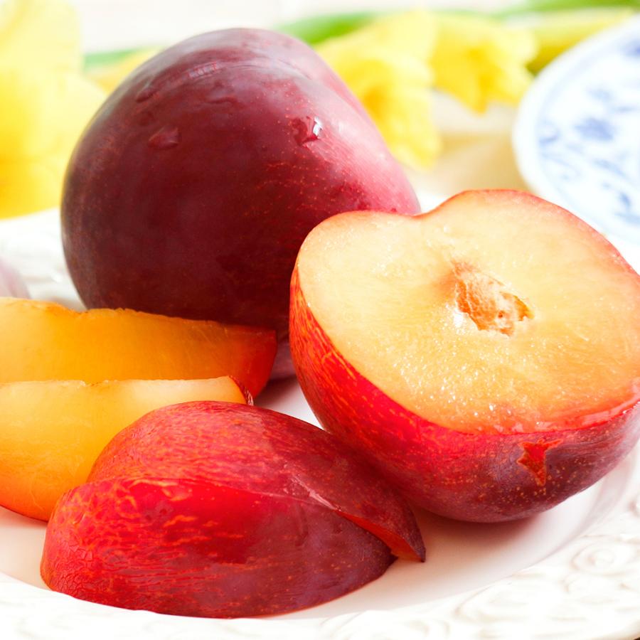 すもも 1kg 貴陽 山梨産 きよう 送料無料 食品 : 花と緑 国華園 - 通販