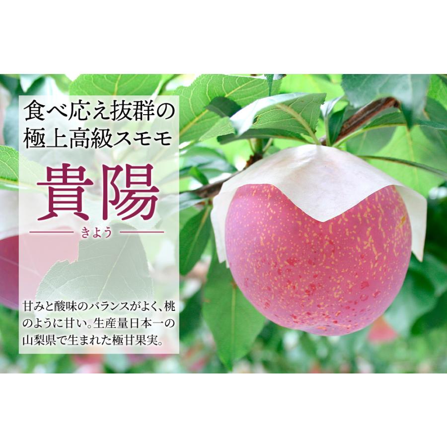 すもも 貴陽 1kg 山梨産 きよう 送料無料 食品 : 花と緑 国華園 - 通販 