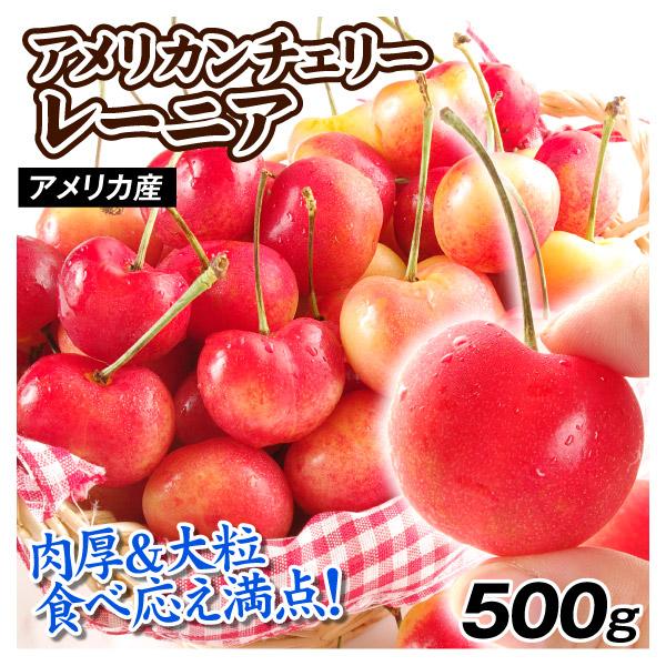 国華園 さくらんぼ 500g レーニア アメリカンチェリー アメリカ産 送料