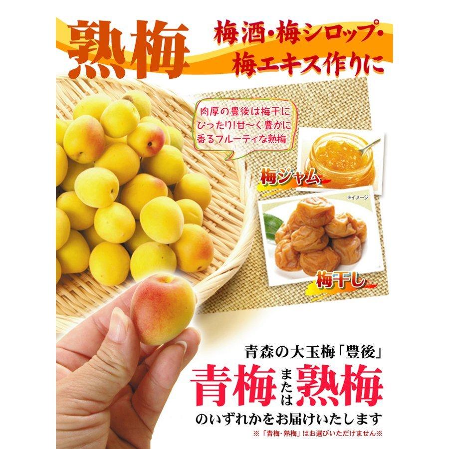 青森県産 幸福丸梅 10kg
