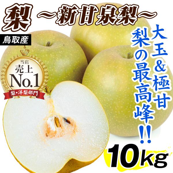 梨 鳥取産 新甘泉梨 10kg なし 甘い 和梨 フルーツ 果物 家庭用 送料