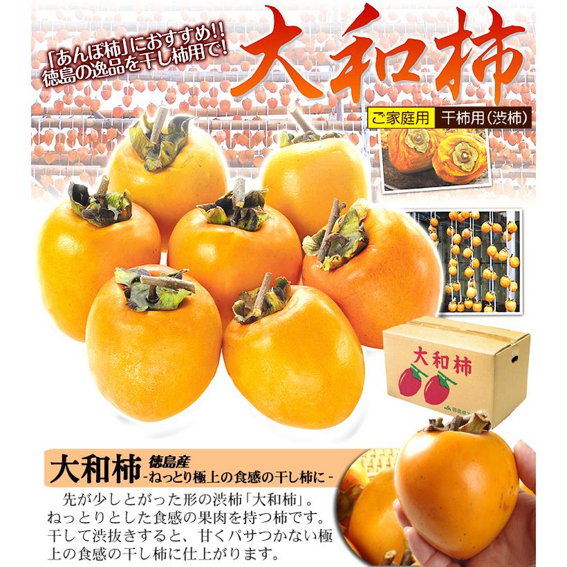 柿 10kg 大和柿 【干柿用渋柿】 徳島産 送料無料 食品 : 花と緑 柿 10kg 大和柿 【干柿用渋柿】 徳島産 送料無料 食品 : 花と緑