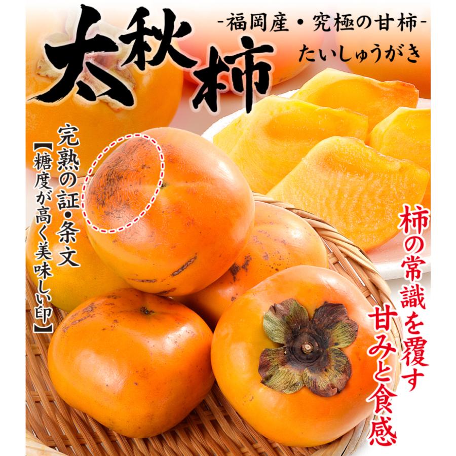 柿 約3kg 福岡産 太秋柿 1箱 送料無料 たいしゅう かき 食品 フルーツ 果物 国華園 F 花と緑 国華園 通販 Yahoo ショッピング