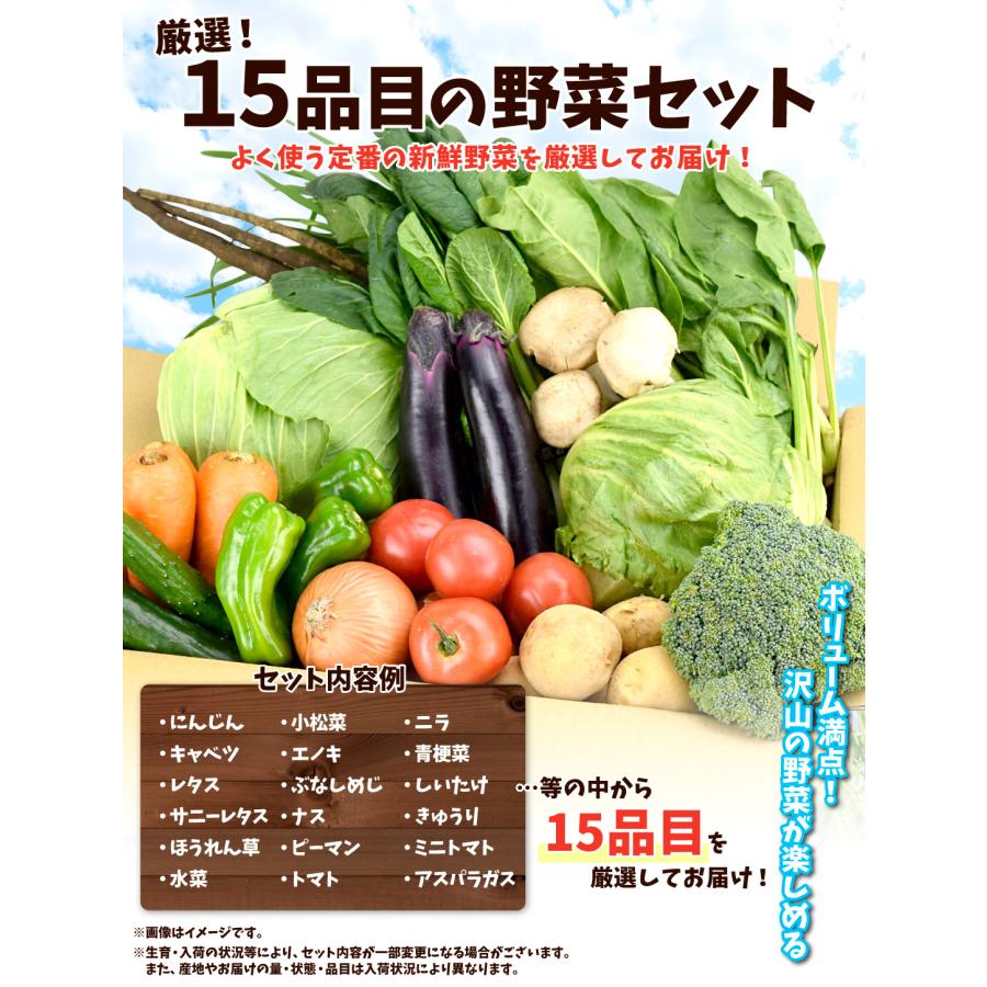 厳選！15品目の野菜セット 冷蔵便 ご家庭用 送料無料 食品 : 花と緑 国