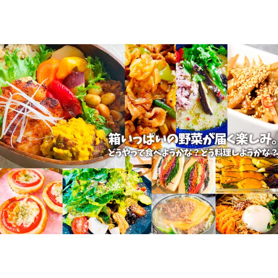 国華園 厳選！15品目の野菜セット 冷蔵便 ご家庭用 送料無料 食品 : 花