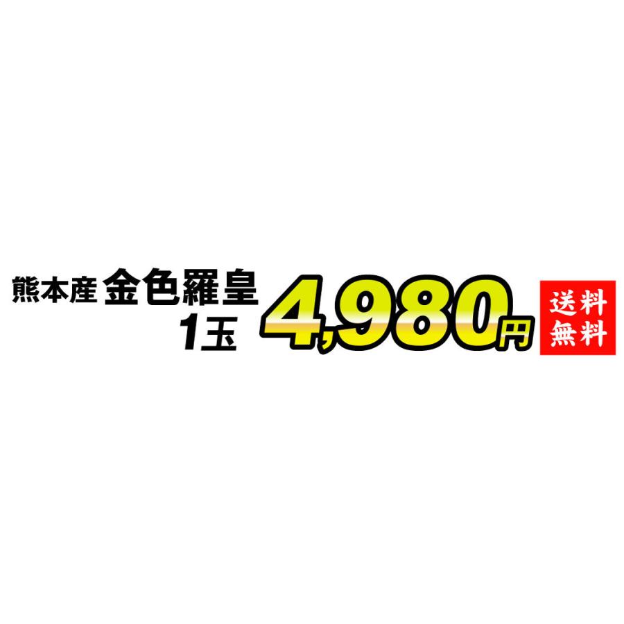 すいか 1玉 金色羅皇 熊本産 送料無料 食品｜kokkaen｜03