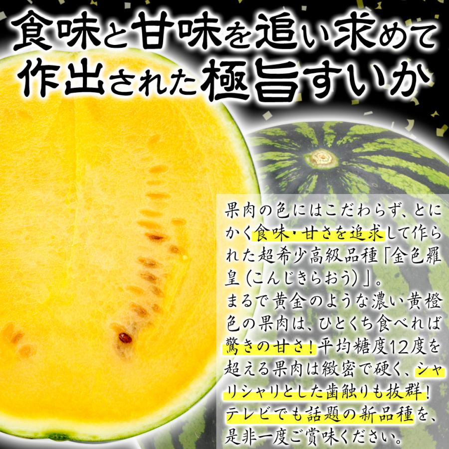 すいか 金色羅皇 1玉 熊本産 らおう 送料無料 食品 : 花と緑 国華園