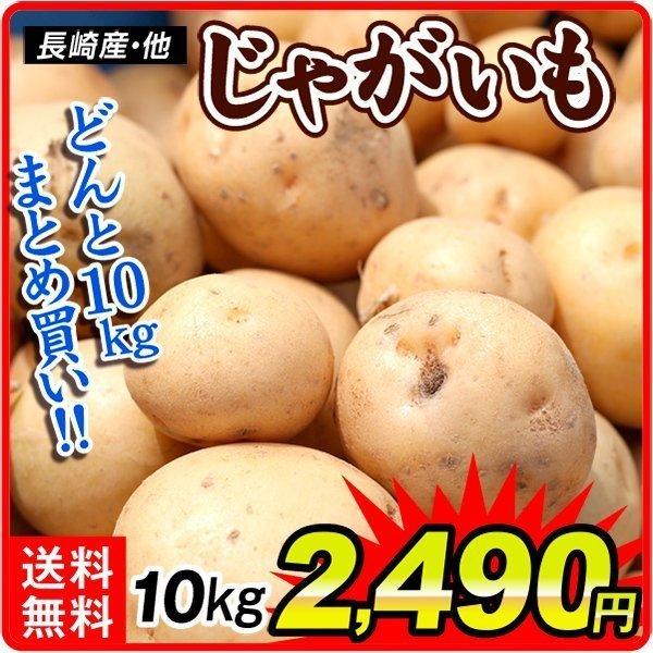 じゃがいも 10kg 長崎産他 送料無料 芋 馬鈴薯 食品 F 花と緑 国華園 通販 Yahoo ショッピング