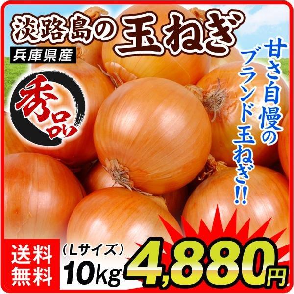 玉ねぎ 10kg 淡路島産 たまねぎ Lサイズ 送料無料 食品 F 花と緑 国華園 通販 Yahoo ショッピング