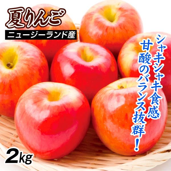 りんご 2kg ニュージーランド産りんご おまかせ 送料無料 食品 : 花と