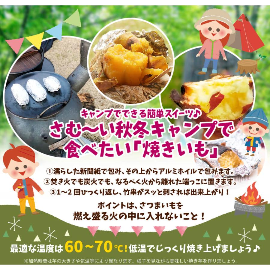さつまいも 5kg 安納芋 種子島産 送料無料 食品 : 花と緑 国華園