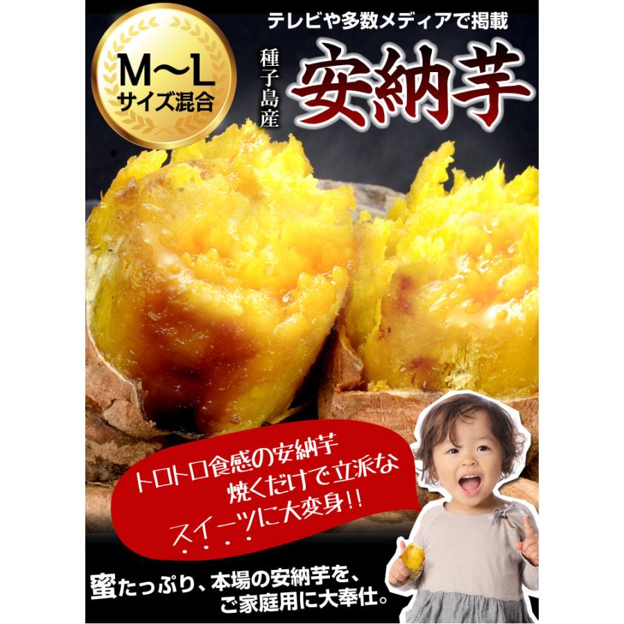さつまいも 5kg 安納芋 種子島産 送料無料 食品 : 花と緑 国華園