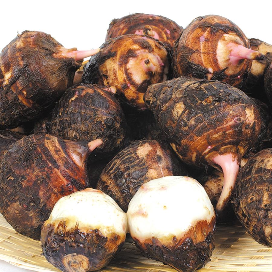 里芋 2kg 赤芽さといも 小玉 九州産 送料無料 食品 : 花と緑 国華園