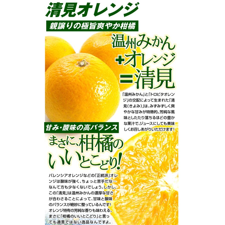 みかん せとか&清見オレンジセット 2種10kg 送料無料 食品 爆買 : 花と