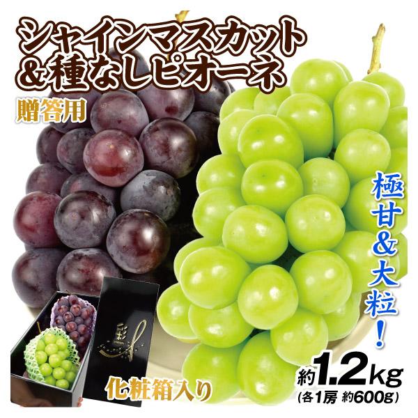国華園 ぶどう 贈答用 シャインマスカット＆種なしピオーネセット 1.2