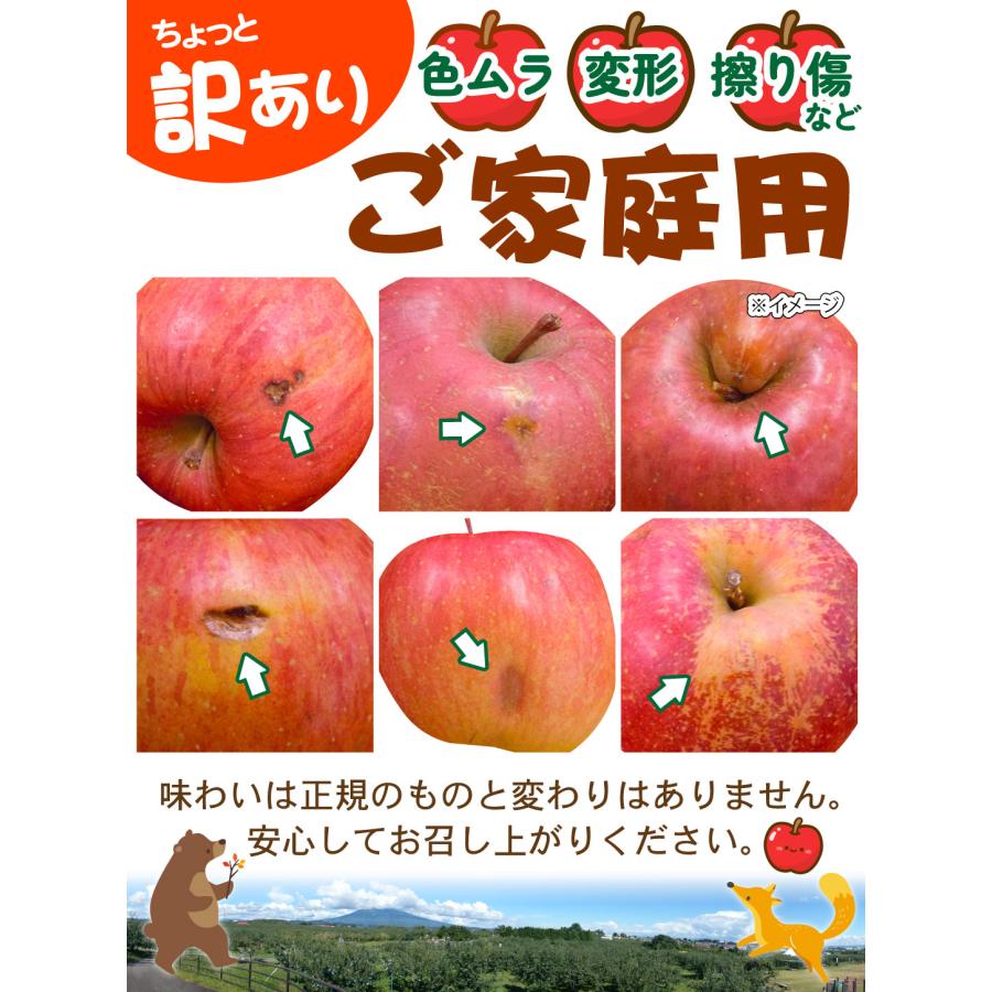 りんご 3kg 糖度13度以上 高糖度サンふじ センサー選別 甘い 青森産