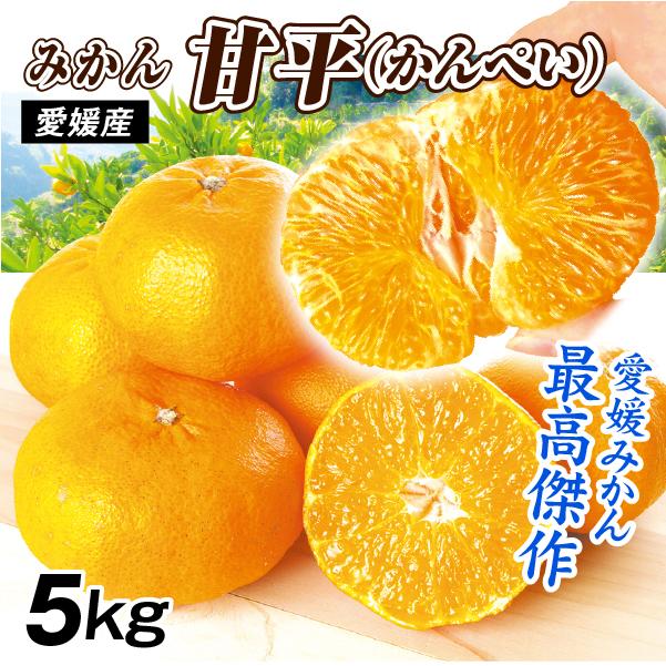 みかん 5kg 甘平 ご家庭用 愛媛産 かんぺい カンペイ ミカン 送料無料