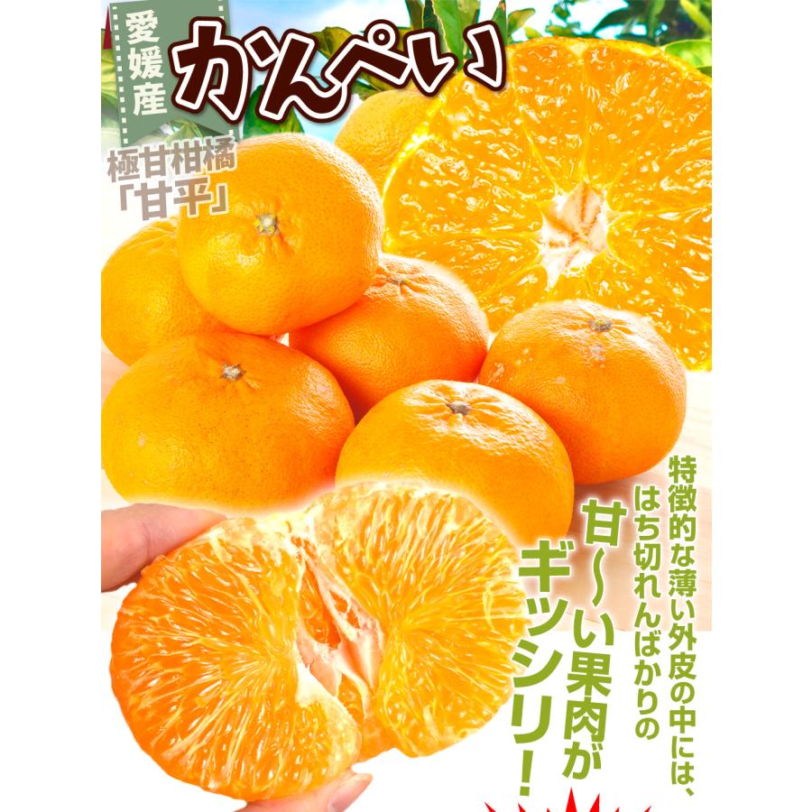 みかん 愛媛産 ご家庭用 甘平 5kg かんぺい 愛媛限定 送料無料 みかん 愛媛産 ご家庭用 甘平 5kg かんぺい 愛媛限定 送料無料
