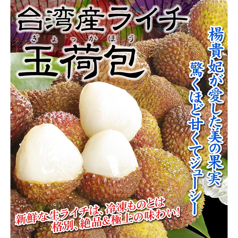 ライチ 1kg 玉荷包 生ライチ 台湾産 ぎょっかほう 送料無料 食品 トロピカルフルーツ