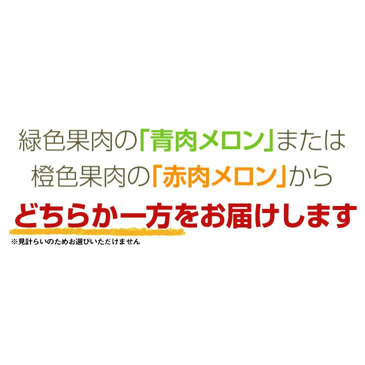 メロン 約5kg 庄内お楽しみメロン 山形産 送料無料 食品｜kokkaen｜06