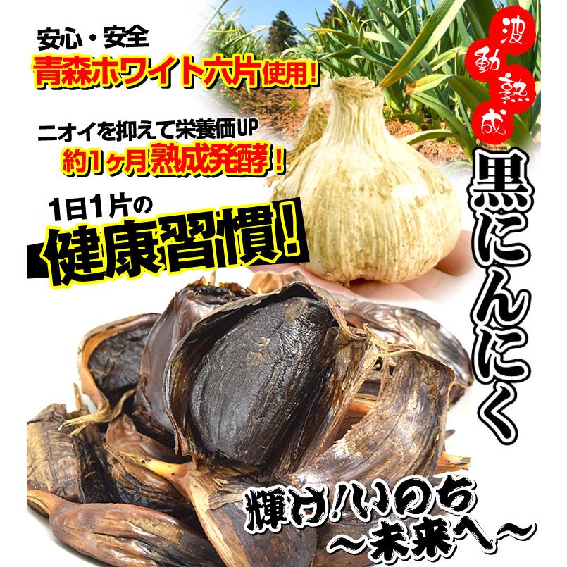 国華園 黒にんにく 400g （200g×2袋） 青森産 波動熟成 国内加工
