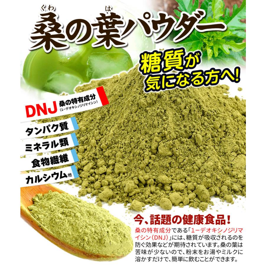 国華園 桑の葉パウダー 1袋 100g 粉末 送料無料 ポスト投函 食品 : 花