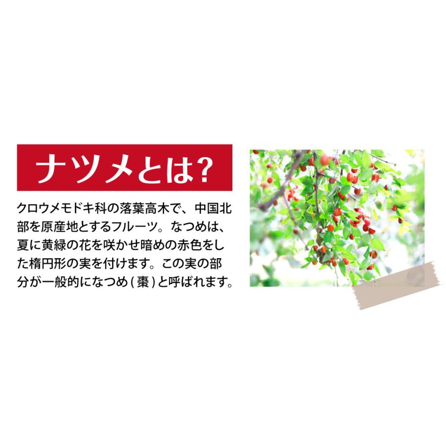 ドライフルーツ ナツメ 2袋 1袋あたり250g入り 2 干しなつめ 棗 送料無料 ポスト投函 食品 F 花と緑 国華園 通販 Yahoo ショッピング