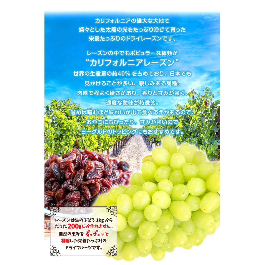 カリフォルニアレーズン ドライフルーツ 700g アメリカ産 レーズン 無