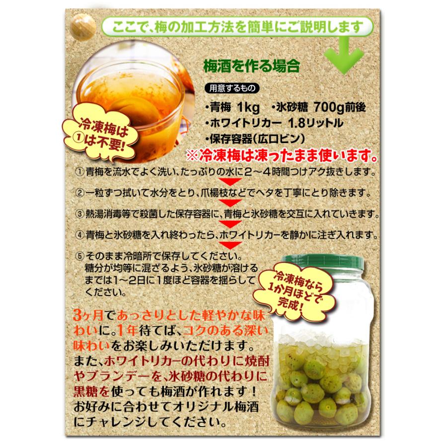 梅 1kg 冷凍南高梅【青梅】 和歌山産 送料無料 冷凍便 食品 : 花