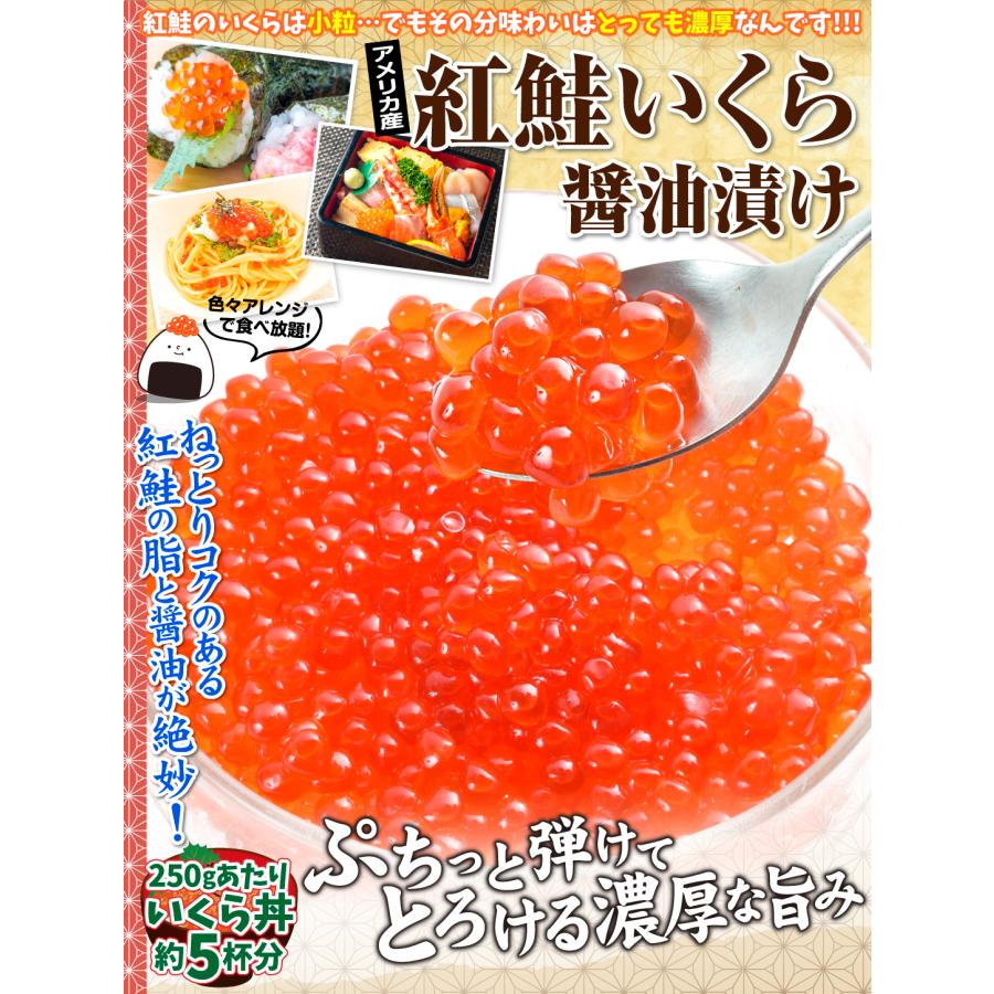 紅鮭いくら 醤油漬 500g (250g×2パック) アメリカ産 イクラ 紅鮭 紅鮭いくら 醤油漬 500g (250g×2パック) アメリカ産 イクラ 紅鮭