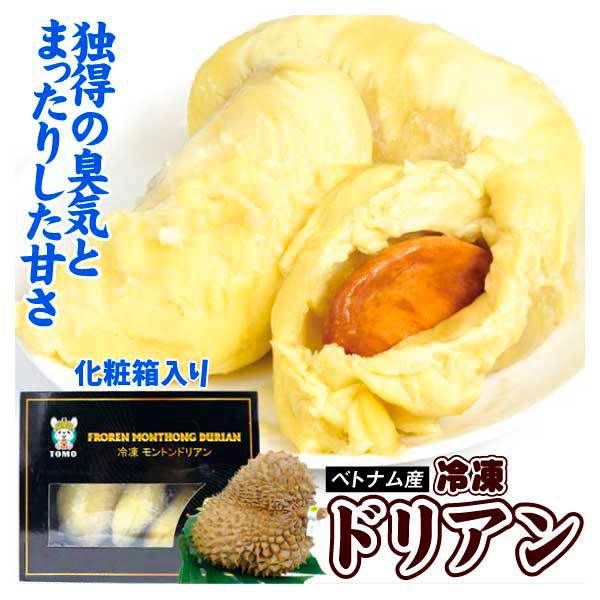冷凍フルーツ 500g 冷凍ドリアン ベトナム産 化粧箱 冷凍便 送料無料