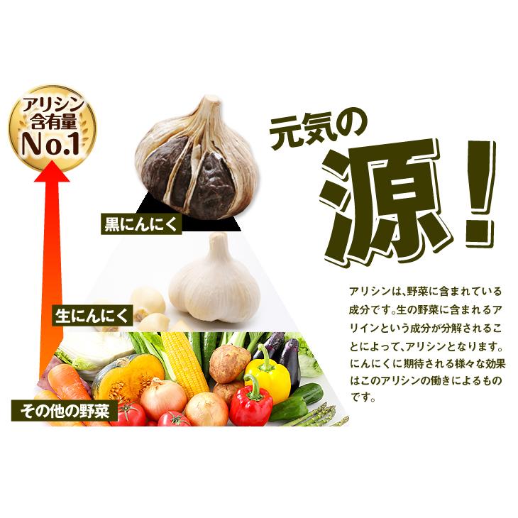 国華園 黒にんにく 400g （200g×2袋） 一片種 幻の黒にんにく 希少種 フルーティー 食べやすい熟成黒にんにく 送料無料 食品 |  | 08