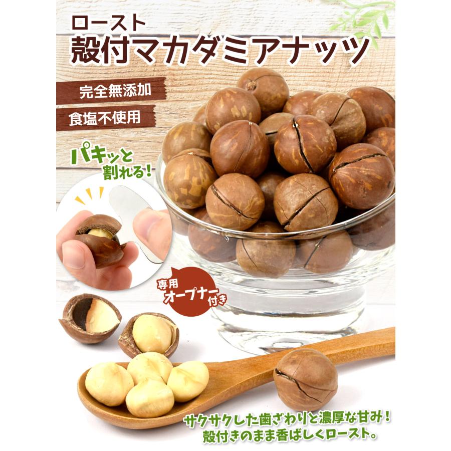 超特価 殻付き マカダミアナッツ 300g ベトナム産 食塩不使用 超特価 殻付き マカダミアナッツ 300g ベトナム産 食塩不使用