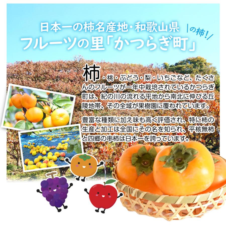 干し柿 あんぽ柿 特大 和歌山産 3L 70g〜80g×2個 送料無料 ポスト投函