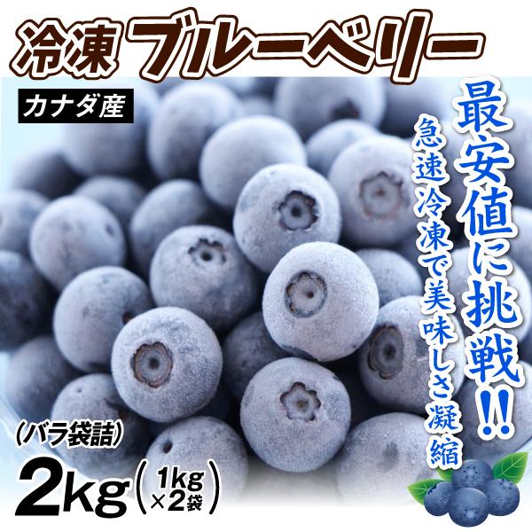 冷凍 ブルーベリー 約2kg カナダ産 大容量 砂糖不使用 冷凍フルーツ