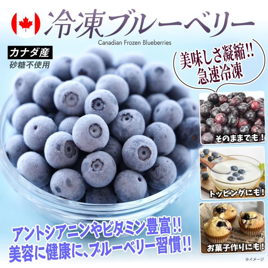 冷凍ブルーベリー 約2kg カナダ産 砂糖不使用 大容量 急速冷凍で美味し