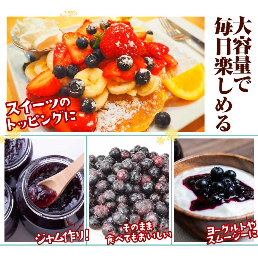 冷凍 ブルーベリー 約2kg カナダ産 送料無料 フローズン 冷凍便 食品