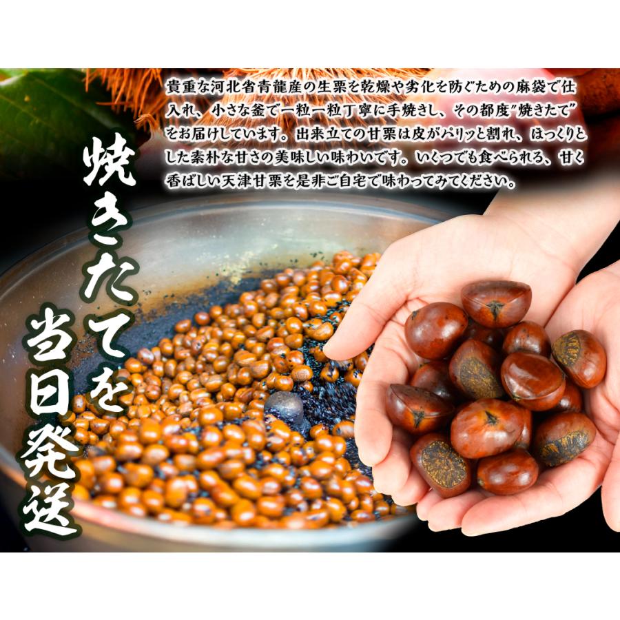 ドラ】 ビックサイズ‼️焼きたて‼️天津甘栗5キロ入り 新栗 無添加